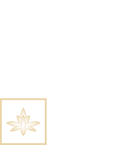 开yun体育官网入口登录app下载平台-场商案例